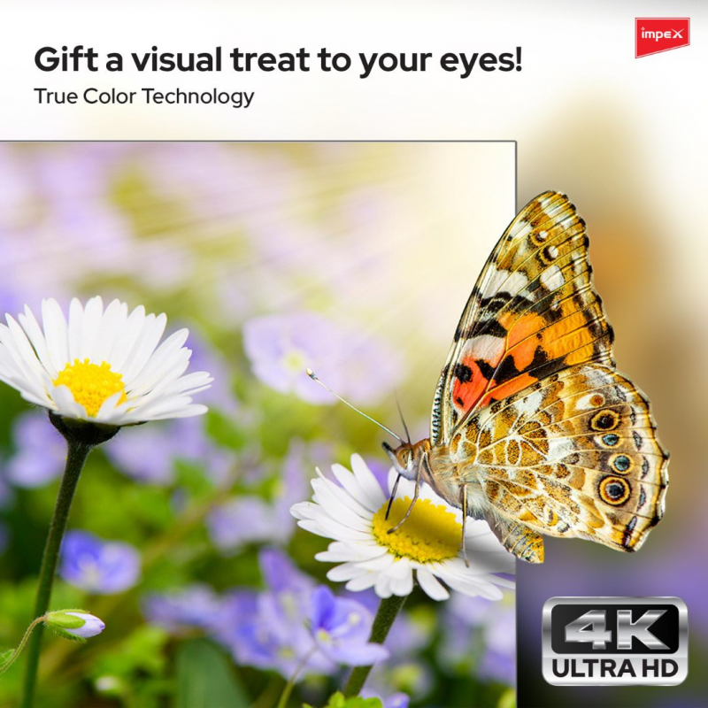 GLORIA 65" SMART 4K LED TV | IX65UHDS