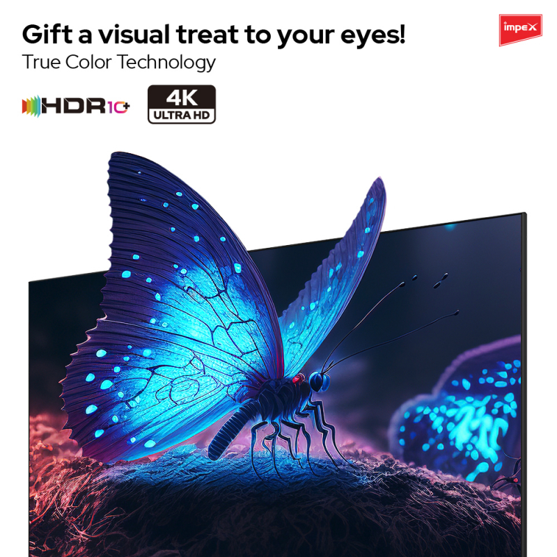 75" UHD evoQ Google TV | evoQ 75 UHD Google TV