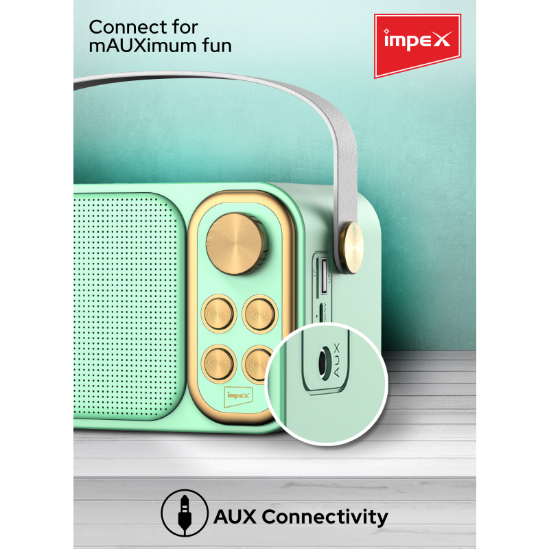 Impex Portable Bluetooth Karaoke Speaker | KM 1302