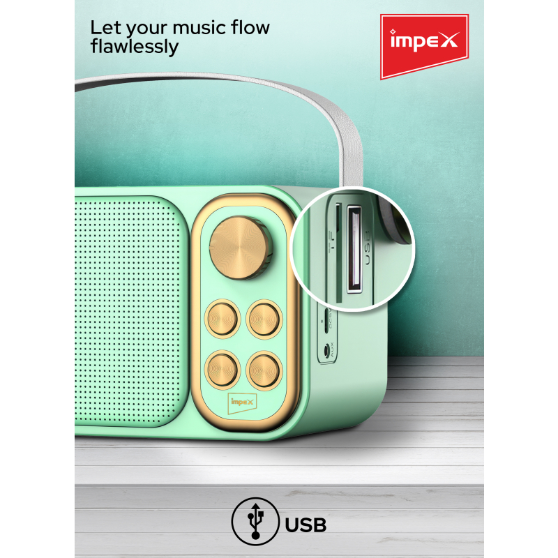 Impex Portable Bluetooth Karaoke Speaker | KM 1302
