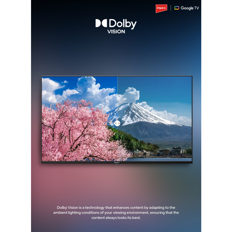 55 UHD evoQ Google TV | evoQ 55 UHD Google TV