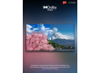 55 UHD evoQ Google TV | evoQ 55 UHD Google TV